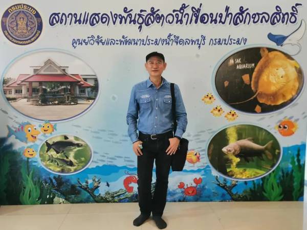 เที่ยวลพบุรี พัฒนานิคม เขื่อนป่าสักชลสิทธิ์ พิพิธภัณฑ์สัตว์น้ำ (Pasak Jonsit Dam Aquarium)