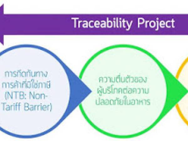 sc ระบบสืบค้นย้อนกลับ (Tractability) คืออะไร