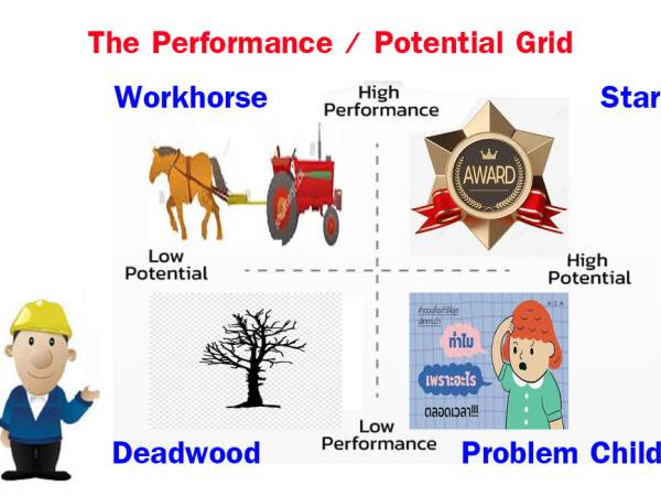 HR แนวคิดในการจัดกลุ่มผลการปฏิบัติงานและศักยภาพในการทำงาน (The Performance / Potential Grid) 