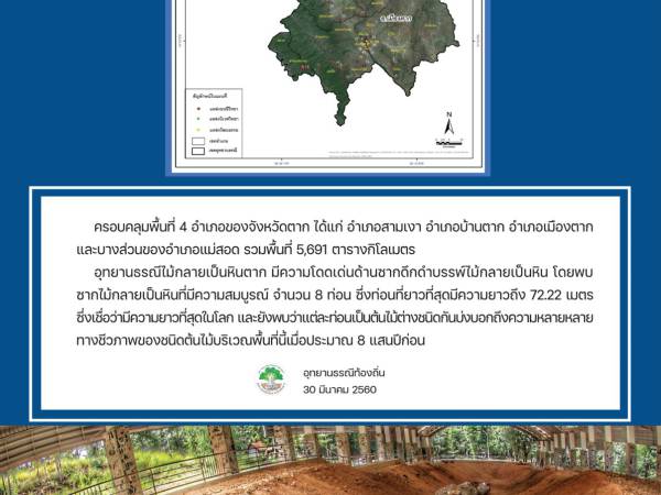 อุทยานธรณี ตาก (Tak Geopark) ไม้กลายเป็นหิน