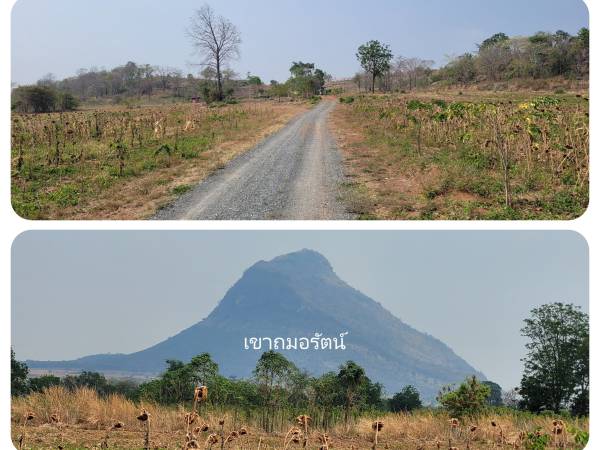 Pol เพชรบูรณ์ ท้องทะเลดึกดำบรรพ์ภูน้ำหยด อ. วิเชียรบุรี