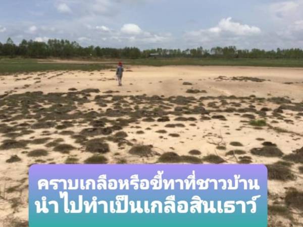 Lertsin 024 เกลือไทยเกลือลาวในเตาขนมครกเดียวกัน