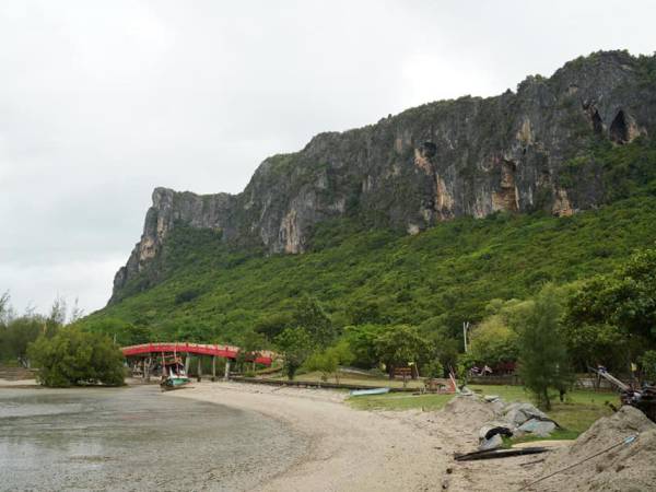 Lertsin 043 เกือบได้เป็นเจ้าหนี้รัฐบาลกีวี