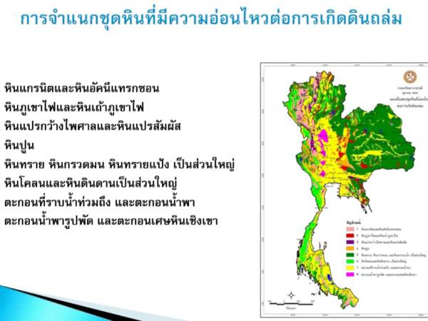 Lertsin 049 ต้นมะขามช่วยชีวิต