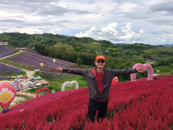 เที่ยวเพชรบูรณ์ เขาค้อ ทุ่งดอกไม้วิวทุ่งกังหันลม