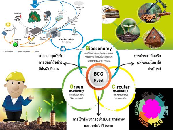  BCG  โมเดลเศรษฐกิจ BCG (BCG Economy Model) รวมข้อมูล