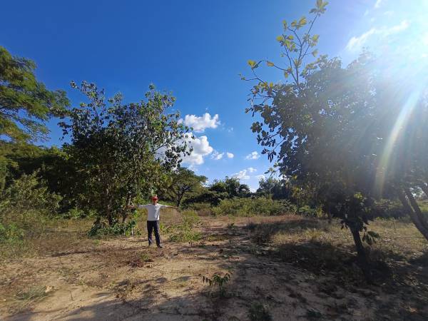 เที่ยวอุบลราชธานี วารินชำราบ บ้านสวนอรพิน