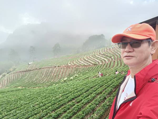 เที่ยวเชียงใหม่ ฝาง ดอยอ่างขาง ไร่สตรอว์เบอร์รีบ้านนอแล (Ban No Lae Strawberry Farm)