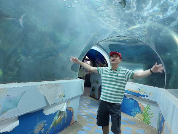 เที่ยวระยอง เมือง พิพิธภัณฑ์สัตว์น้ำ ระยอง (Rayong Aquarium)
