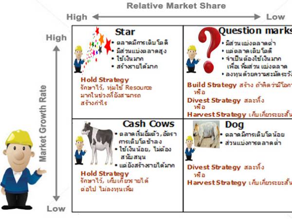 Marketing การวางตำแหน่งองค์กร (Boston Consulting Group (BCG))