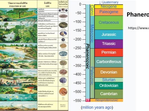 Waiyapot ep066 Phanerozoic Eon บรมยุคฟาเนอโรโซอิก