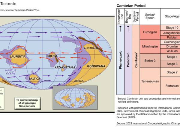 Waiyapot ep067 Cambrian Period ยุค แคมเบรียน