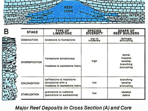Nares ไทย พืดหิน มิได้หมายถึงหินเป็นพืดเฉยๆ นะจ๊ะ (2)