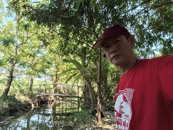 20241130 เที่ยวลพบุรี เขื่อนป่าสัก ทุ่งทานตะวัน