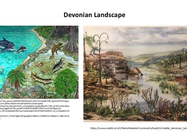 Waiyapot ep086 The Devonian Period ยุคดีโวเนียน