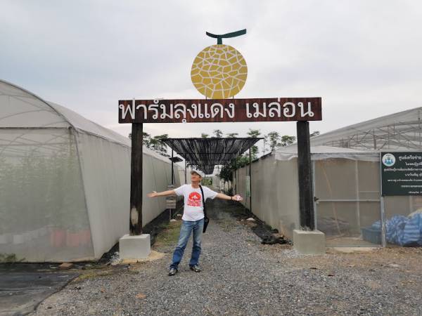 เที่ยวปทุมธานี คลองหลวง ฟาร์มลุงแดง เมล่อน&ผักสลัด