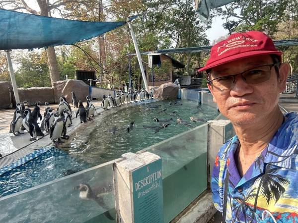 20250215 เที่ยวชลบุรี สวนสัตว์เขาเขียว หมูเด้ง