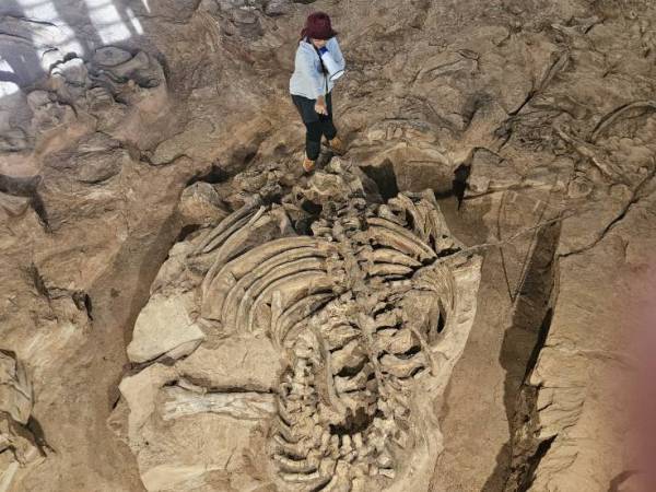 Waranon ไทย กาฬสินธิ์ สุสานไดโนเสาร์ ภูน้อย บ้านดินจี่ อำเภอคำม่วง