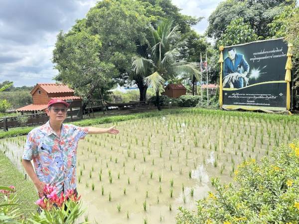 เที่ยวอยุธยา พระนครศรีอยุธยา ศูนย์การเรียนรู้เศรษฐกิจพอเพียง บ้านของพ่อ 