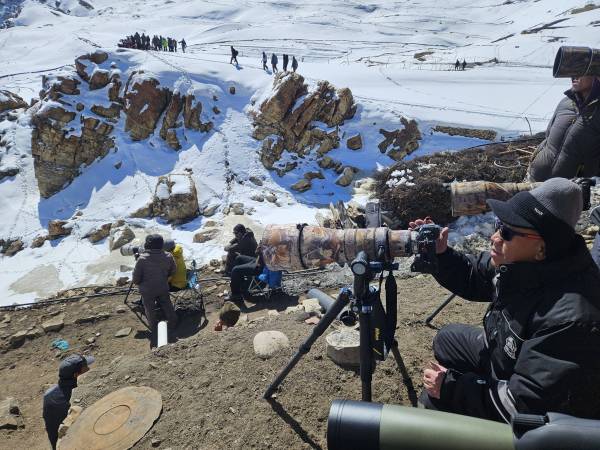 Waranon อินเดีย Himalchalpradesh (3) SNOW LEOPARD