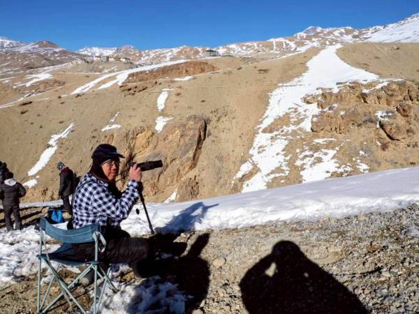 Waranon อินเดีย Himalchalpradesh (4) Himalayan Red Fox