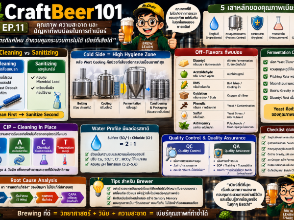 CraftBeer-11 คุณภาพ ความสะอาด และปัญหาที่พบบ่อยในการทำเบียร์