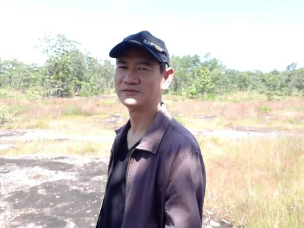 เที่ยวอุบลราชธานี นาจะหลวย ภูจองนายอย ลานดอกหญ้าพลาญป่าชาด (Phuchong Naoyoi Flower field Phalanchad)